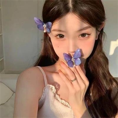 蝴蝶夫人的现代家庭